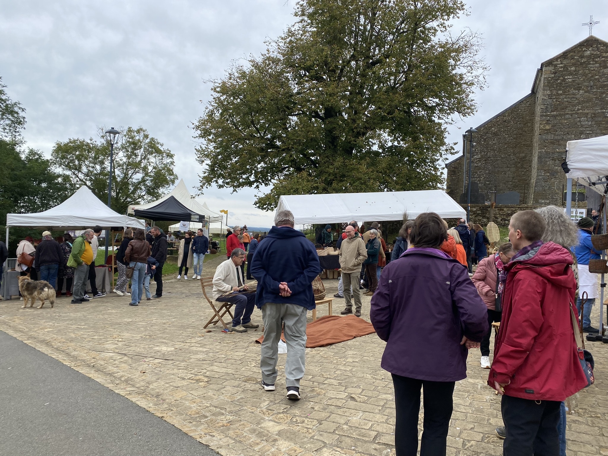 Festival Saule en vie